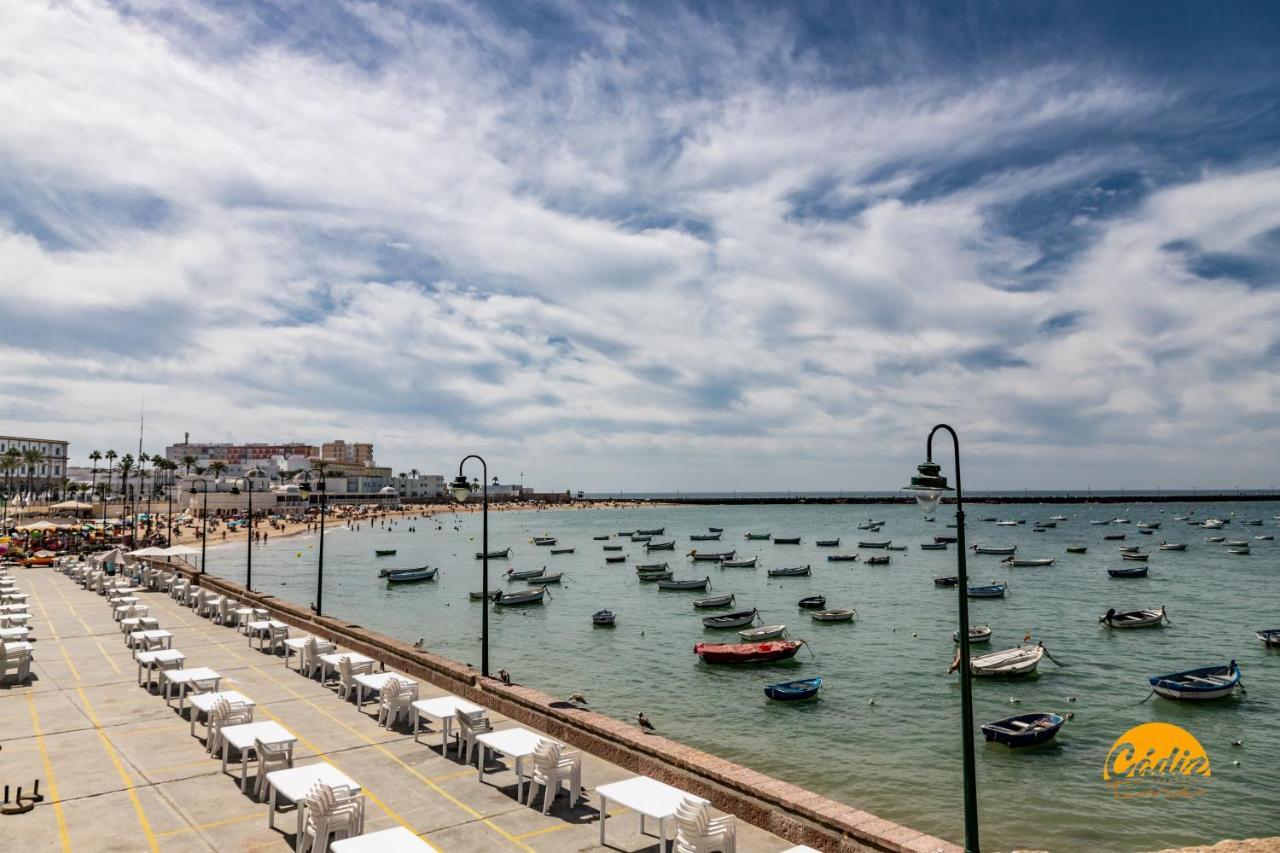 Appartamento La Luz De La Vina - Free Parking By Cadiz Time Esterno foto